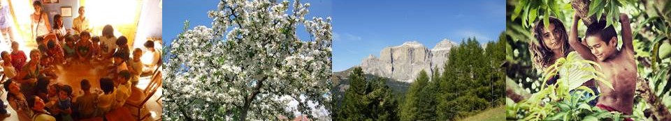 International Ecopedagogy Cooperative. A Bread, a Tree, a Forest – For All Children!